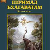 Шримад-Бхагаватам, восьмая песнь