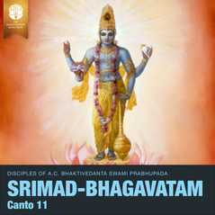 Śrīmad-Bhāgavatam, Canto Eleven