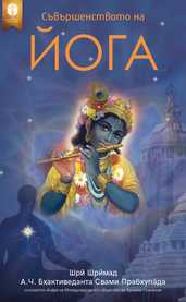 Съвършенството на йога