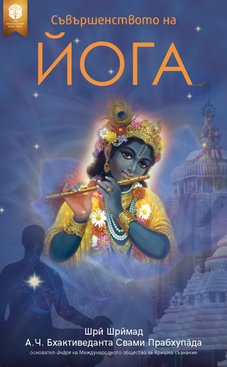 Съвършенството на йога