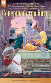 Совершенство йоги